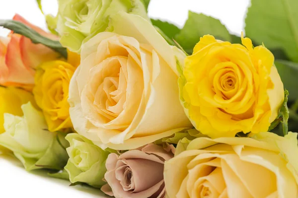 Букет з різнокольорових свіжих троянд Стокове Зображення