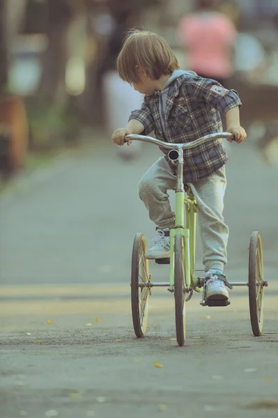 Menino feliz com bicicleta no parque de outono — Fotografia de Stock