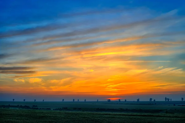 Tájkép, napfényes hajnal a mezőn — Stock Fotó