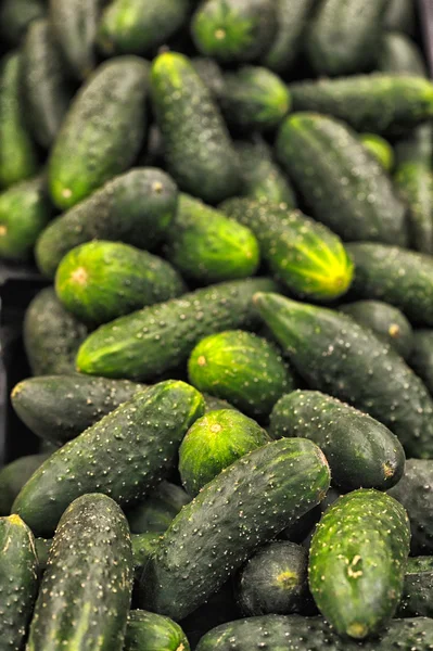 Verse groene komkommer collectie buiten op markt macro — Stockfoto