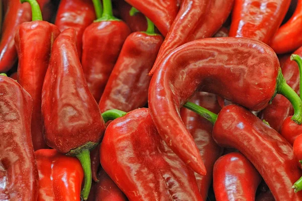 Red chili peppers as background — Stock Photo, Image