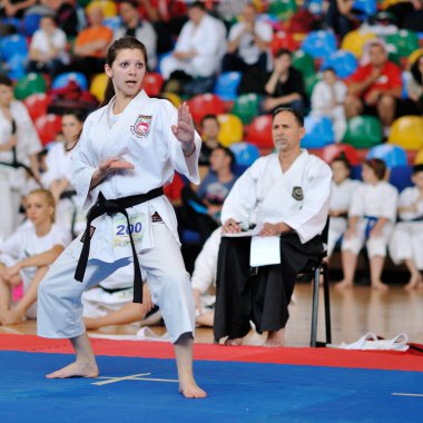 Avrupa Karate Şampiyonası'na katılan yarışmacılar