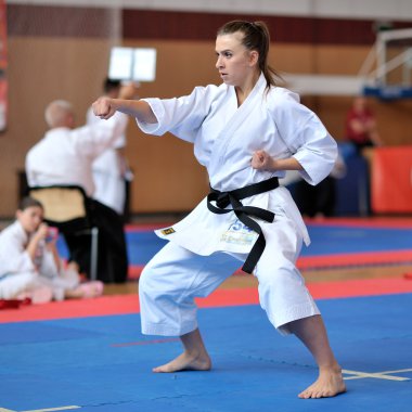 Avrupa Karate Şampiyonası'na katılan yarışmacılar