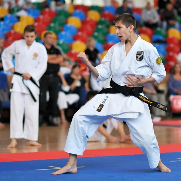 Concursantes participantes en los Concursantes participantes en el Campeonato Europeo de Karate Fudokan 2014 — Foto de Stock