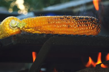 a forró tűzhely, grillezett kukorica