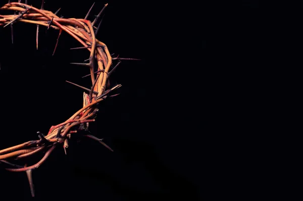 View of branches of thorns woven into a crown depicting the cruc — Stock Photo, Image