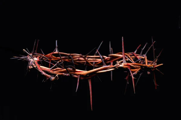 View of branches of thorns woven into a crown — Stock Photo, Image