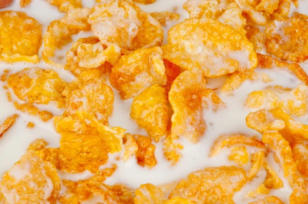 Cereal Flakes — Stock Photo, Image