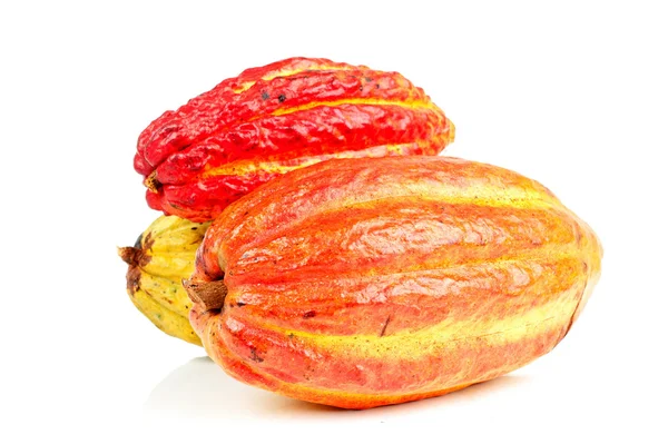 Cacao — Foto Stock