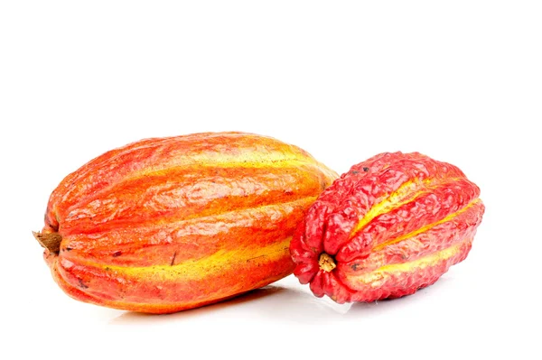 Cacao — Foto de Stock