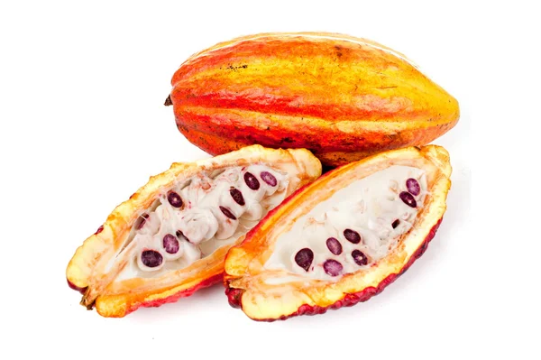 Cacao — Foto de Stock