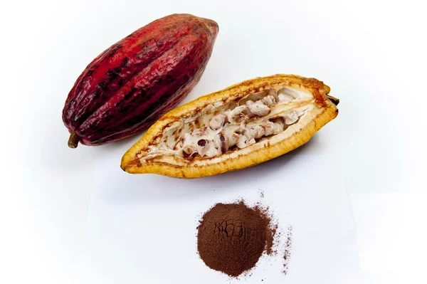 Cocoa — Stock Photo, Image