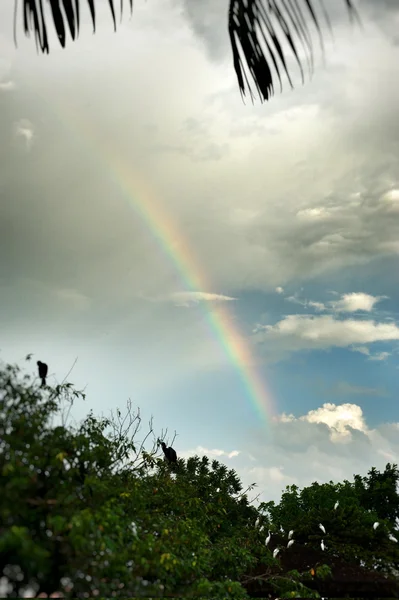 Cielo con arcobaleno — Foto Stock