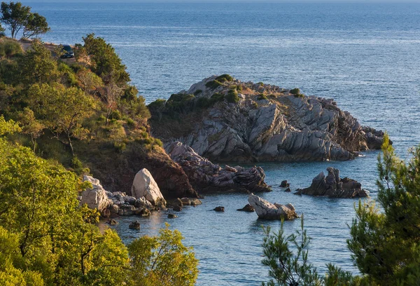 Rocas blancas. Árboles verdes en la costa de Montenegro . —  Fotos de Stock
