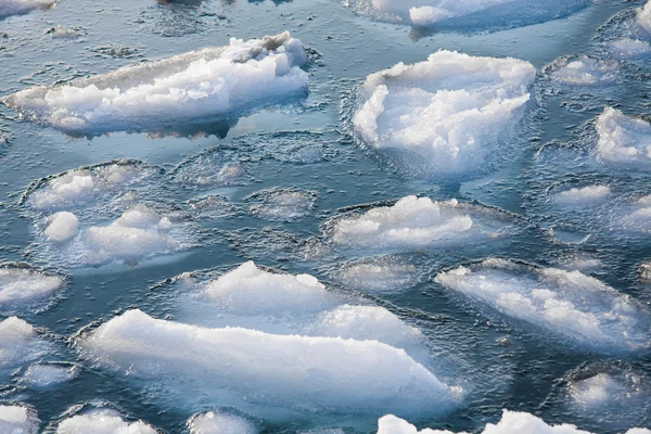 Deniz suda yüzen buz.