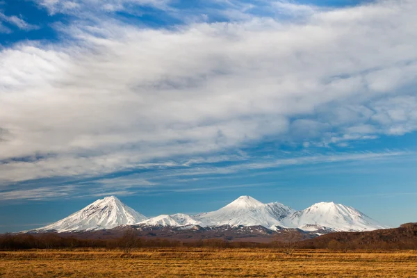 Три покрытых снегом вулкана. Поле, сухая трава, холмы. Голубое небо , — стоковое фото