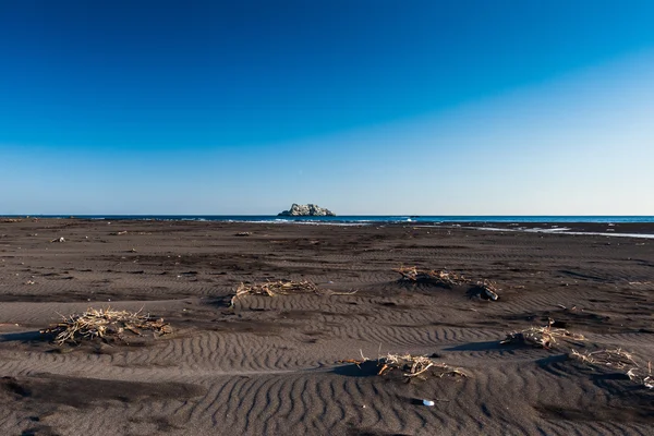 Costo del Pacifico. Surf e onde. Erba secca e onde sulla sabbia . — Foto Stock