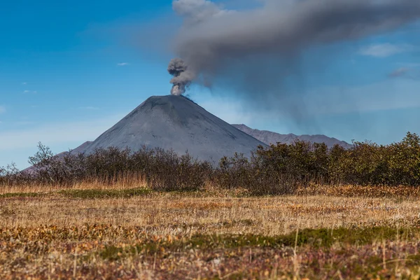 Volcanic eruption. Smoke and mountain meadow.  Karymsky volcano — Stock Photo, Image