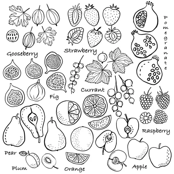 Collecte Fruits Jeu Vecteurs Dessinés Main — Image vectorielle