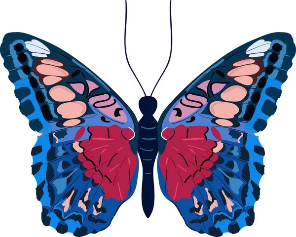 Mariposa colorida — Vector de stock