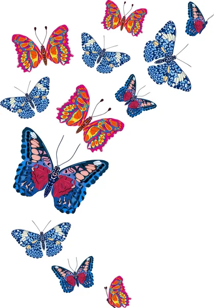 Tarjeta con hermosas mariposas brillantes — Vector de stock