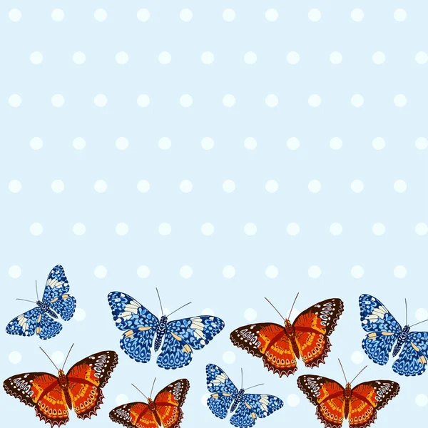 Tarjeta con hermosas mariposas brillantes — Vector de stock