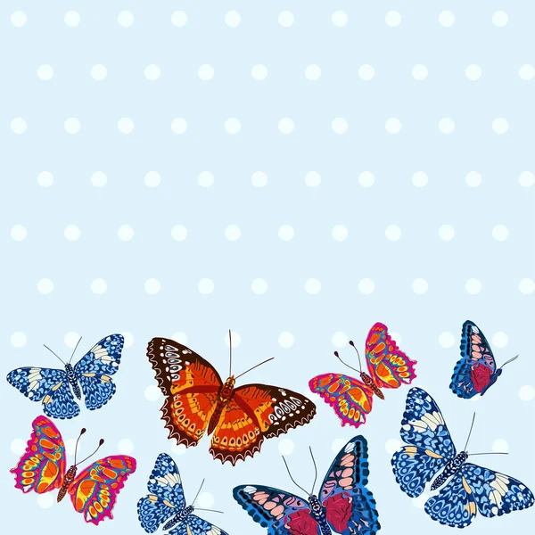 Card with beautiful bright butterflies — Stock Vector