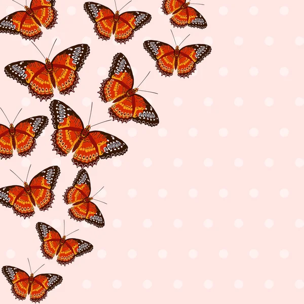 美しい鮮やかな蝶カード — ストックベクタ