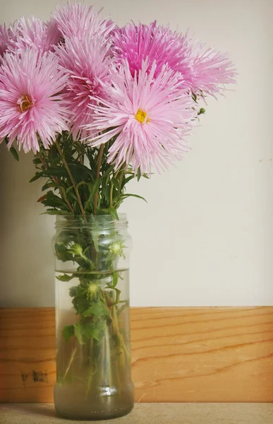 Krásná kytice aster — Stock fotografie