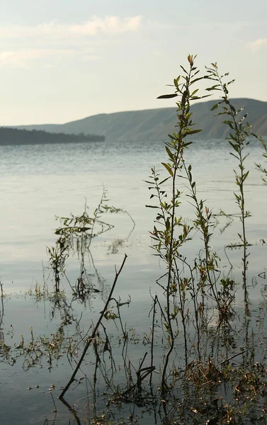 Vakkert elvelandskap – stockfoto