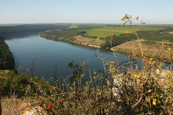 Beautiful river landscape — Stock Photo, Image