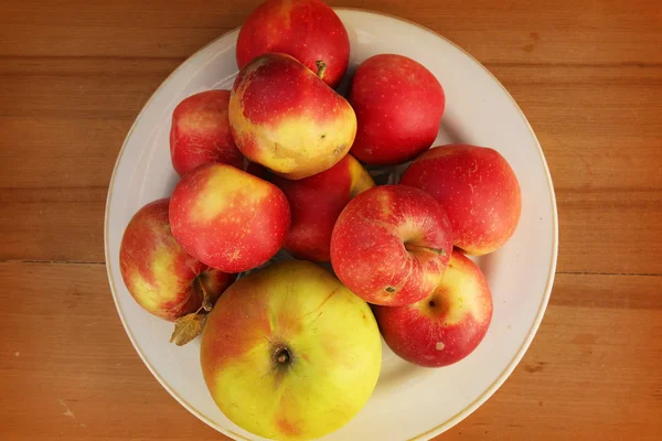 Herbstäpfel — Stockfoto