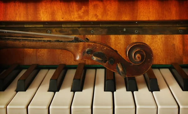 Bellissimo violino — Foto Stock