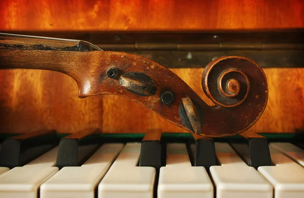 Piękne skrzypce — Zdjęcie stockowe