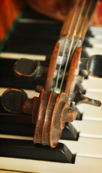 Beautiful violin — Stock Photo, Image