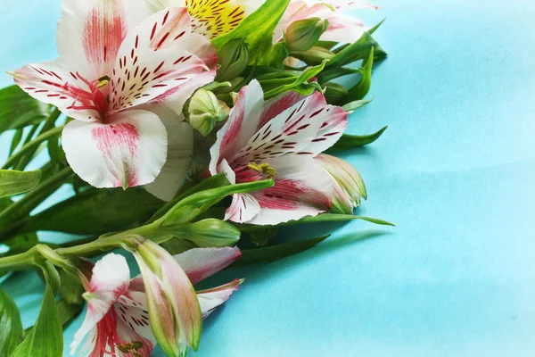 美しいユリの花束 — ストック写真