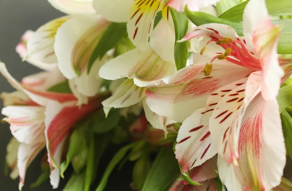 Beautiful lily bouquet — Stock Photo, Image