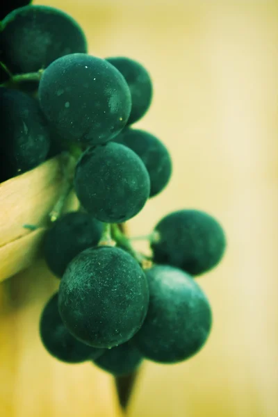 Cesto de uvas escuras — Fotografia de Stock