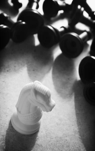 白と黒のチェスのコンセプト — ストック写真