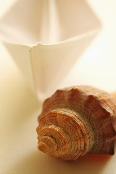 Resor-konceptet med seashell — Stockfoto