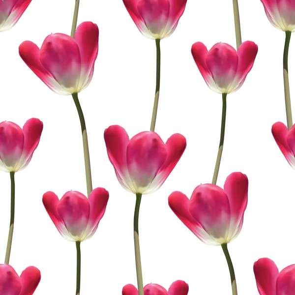 Modèle sans couture vecteur de tulipes réalistes — Image vectorielle