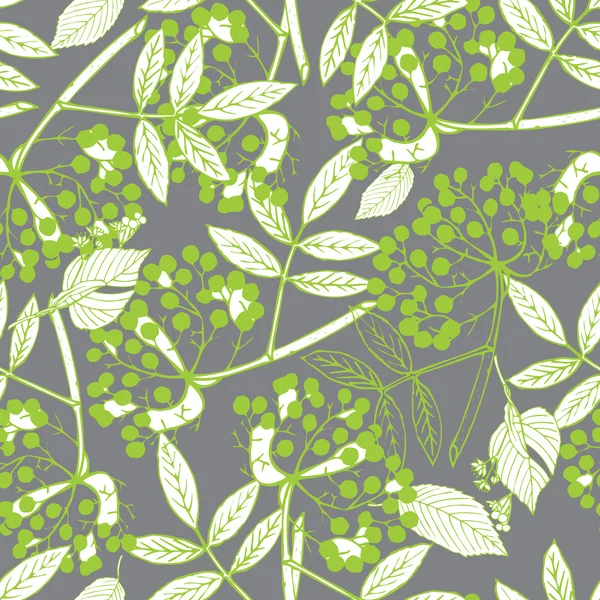 Creeper Berry motif sans couture — Image vectorielle