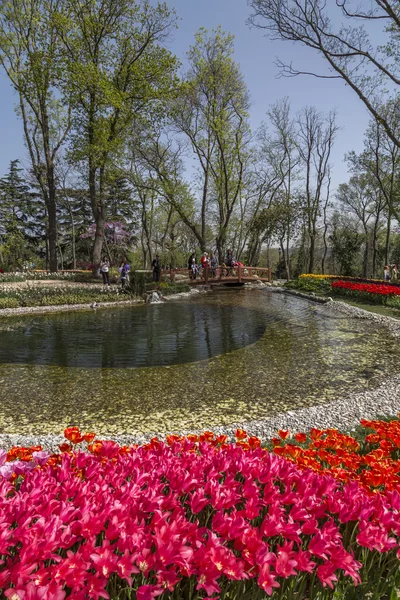 Festival de Tulipas Tradicional no Parque Emirgan, um parque urbano histórico localizado no distrito de Sariyer em Istambul, Turquia — Fotografia de Stock