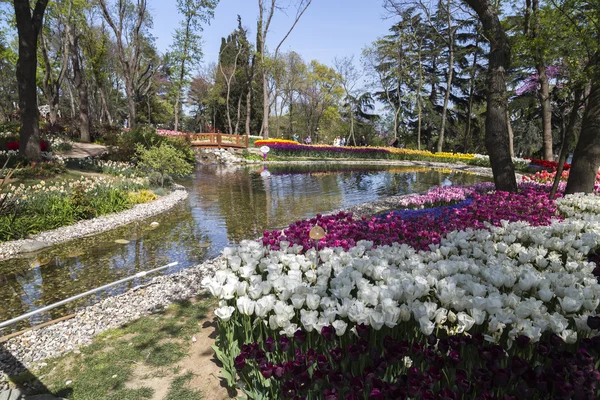 Festival tradicional de tulipanes en Emirgan Park, un parque urbano histórico situado en el distrito de Sariyer de Estambul, Turquía —  Fotos de Stock