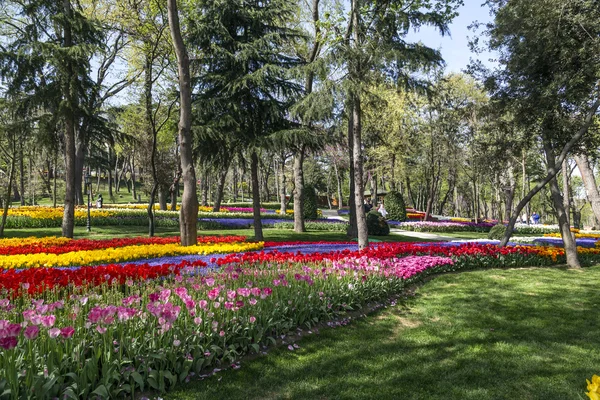 Festival de Tulipas Tradicional no Parque Emirgan, um parque urbano histórico localizado no distrito de Sariyer em Istambul, Turquia — Fotografia de Stock