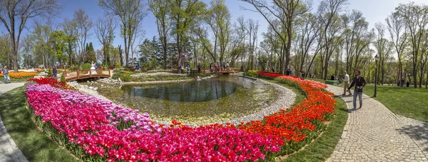 Traditionell Tulip Festival i Emirgan Park, en historisk stadspark ligger i Sariyer distriktet i Istanbul, Turkiet — Stockfoto
