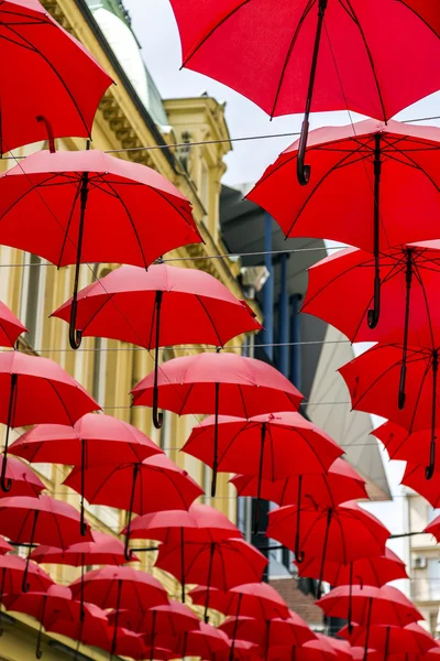 Red umbrellas covering a street in Belgrade, parasols used as street decoration — Stock Photo, Image