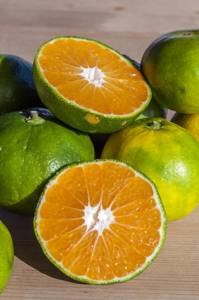 Skupina druhů Sacuma tangerin zblízka Bodrum — Stock fotografie