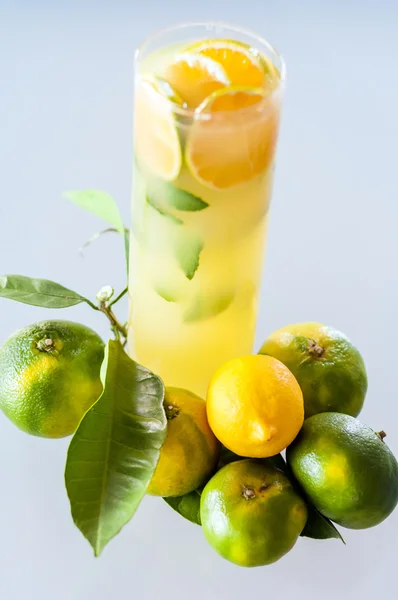 Homemade lemonade with mint leaves and Bodrum tangerine oranges — Stock Photo, Image