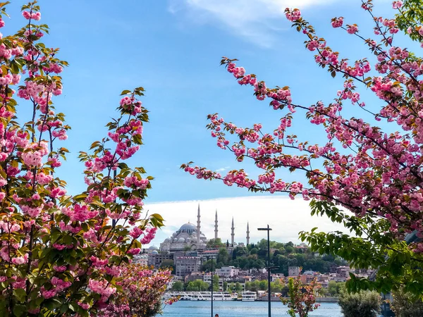 Istambul Turquia Maio 2021 Mesquita Suleymaniye Área Chifre Dourado Com — Fotografia de Stock